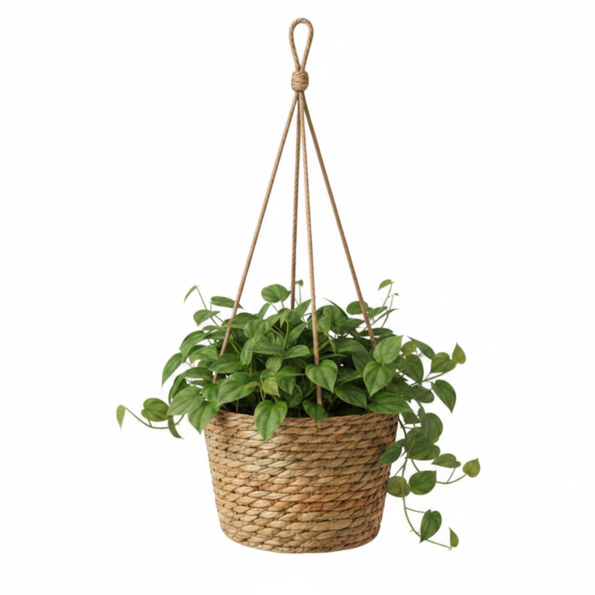 Pack 2 Porta Maceta Cesta De Yute Colgante Cuerda