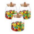 Pack De 3 Recipiente Cafe Frasco De Vidrio Con Tapa Bambu